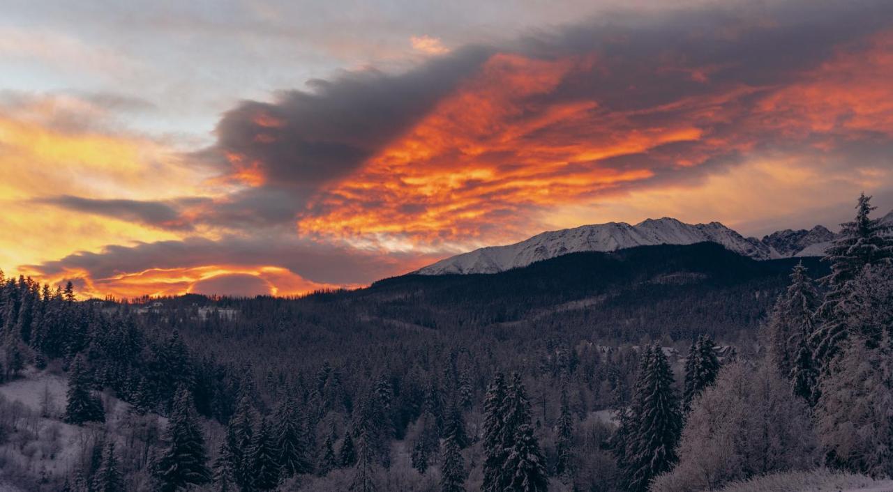 Maciejowy Dwór Apartamento Zakopane Exterior foto