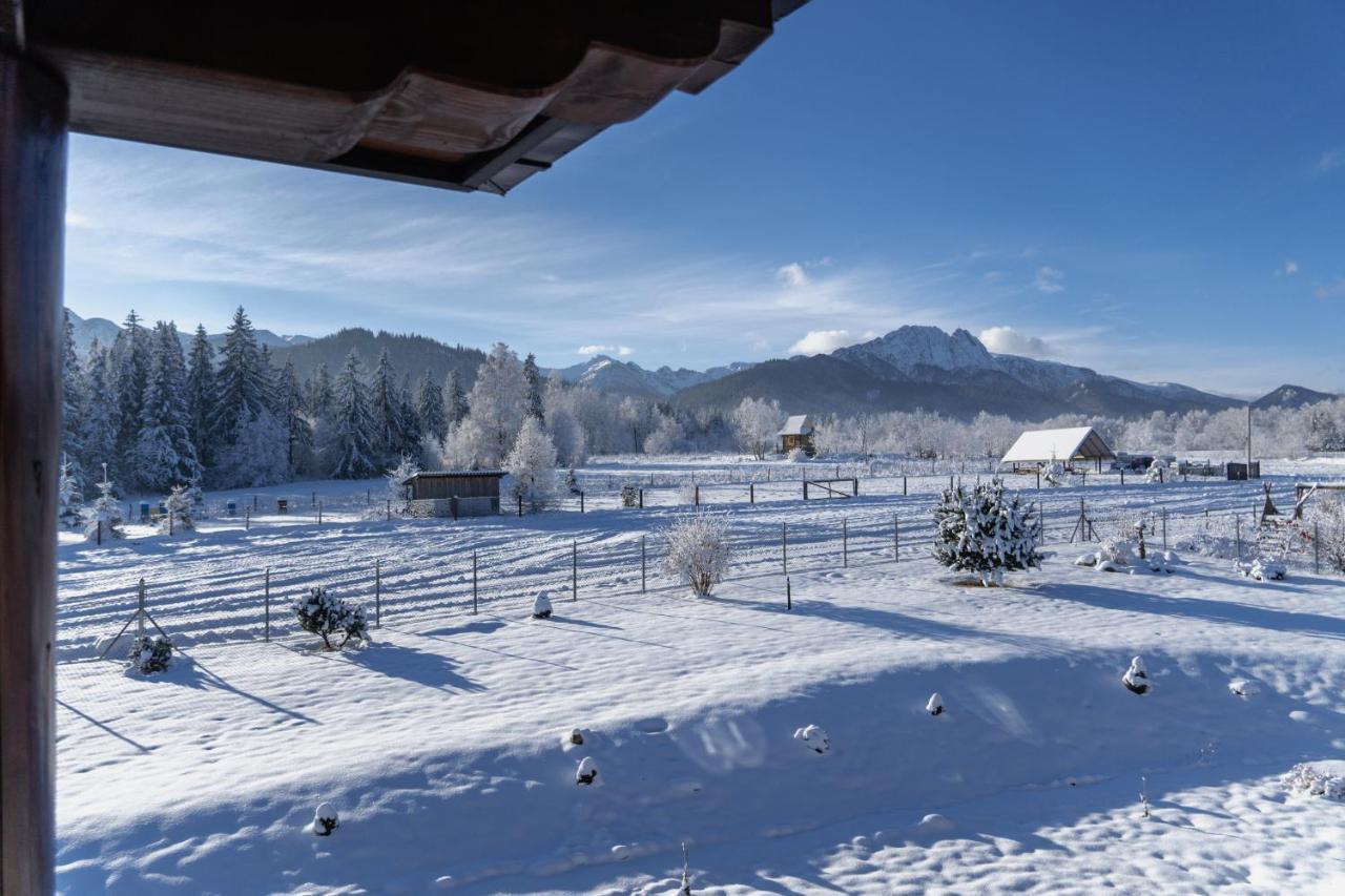 Maciejowy Dwór Apartamento Zakopane Exterior foto